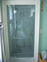 panel, door with glass to glass hinges panel, door with glass to glass hinges